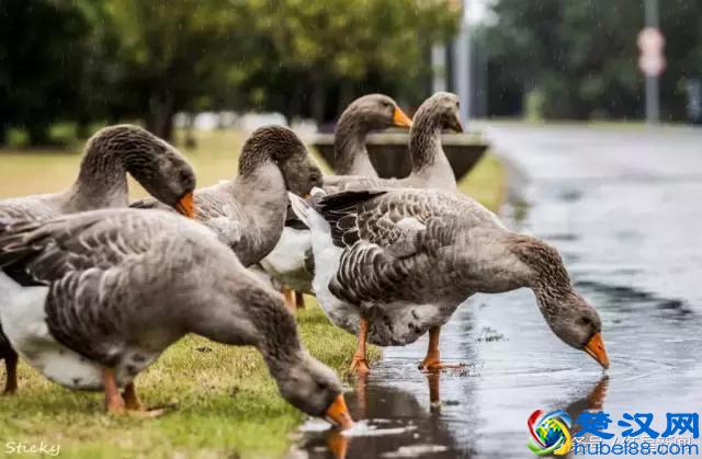 宁波诺丁汉大学：每年近10万的学杂费，精英的游戏？