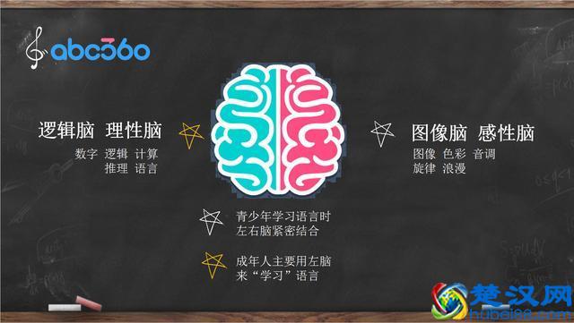 干货丨学英语 成人青少各不同！