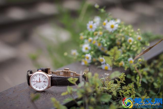 飞亚达手表怎么样，飞亚达手表试用介绍