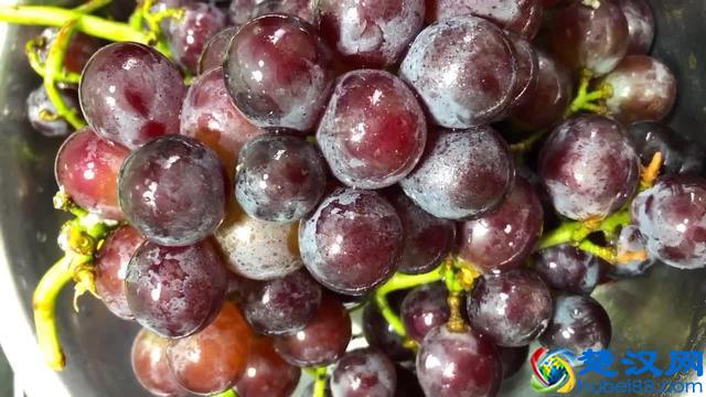 教你自酿葡萄酒，不放任何添加剂，适合小批量制作