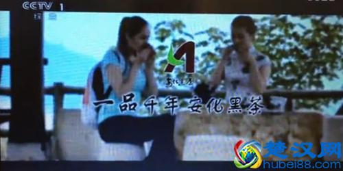 2016中国黑茶（含普洱茶）十大新闻热点