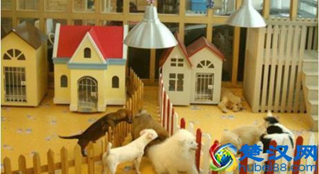 5个不起眼却很赚钱的小生意，第3个最暴力