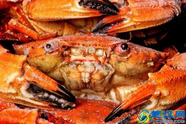 农村害虫能致富？盘点致富害虫品种！