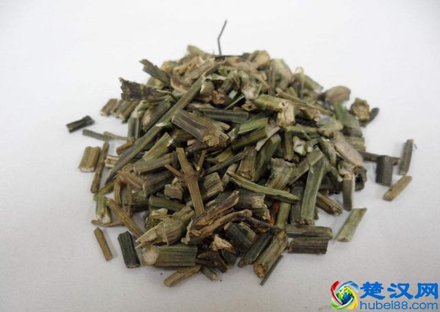 这种草南方常见，是抗病毒的首选药物之一！种植前景好，效益高！