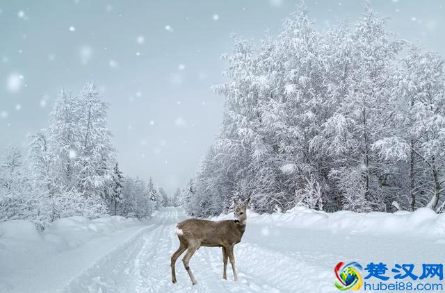 世界很大风景很美，再穷再忙，也要去旅行