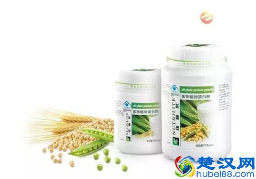 安利纽崔莱蛋白粉，正确服用，让精力更加充沛