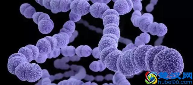 肺炎疫苗，7价、13价、23价都是什么意思？