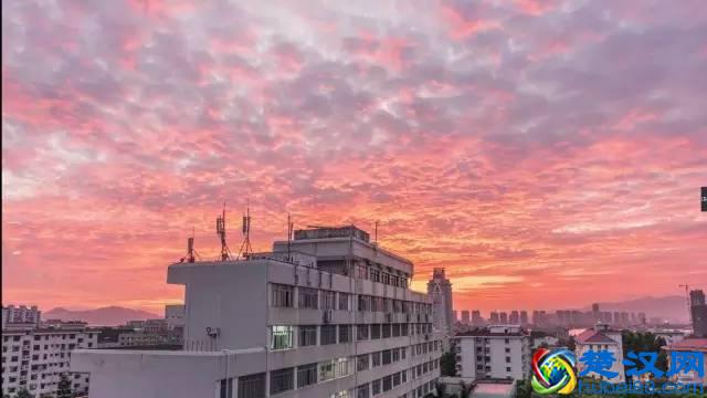 中国最美大学丨厦门集美大学