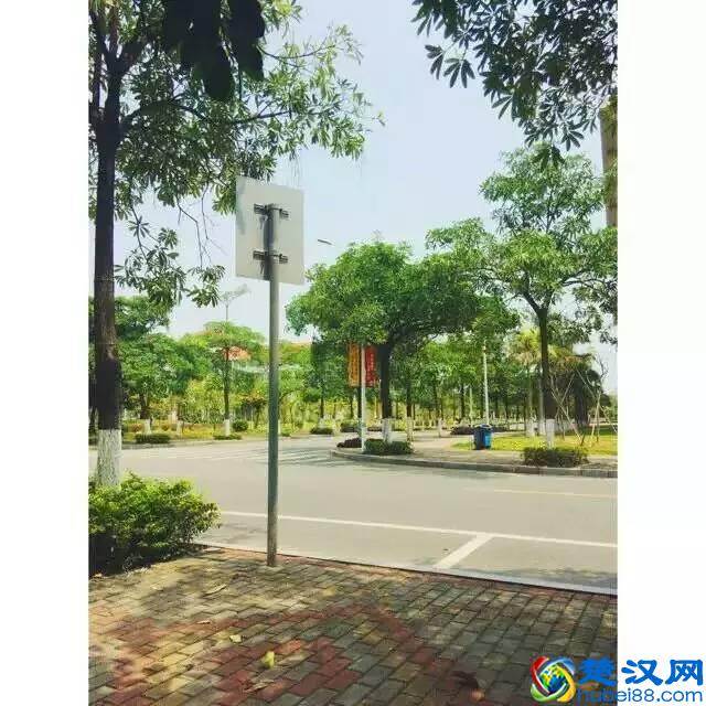 中国最美大学丨厦门集美大学