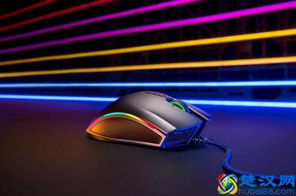 雷蛇退烧粉有话说：曼巴眼镜蛇精英版鼠标体验