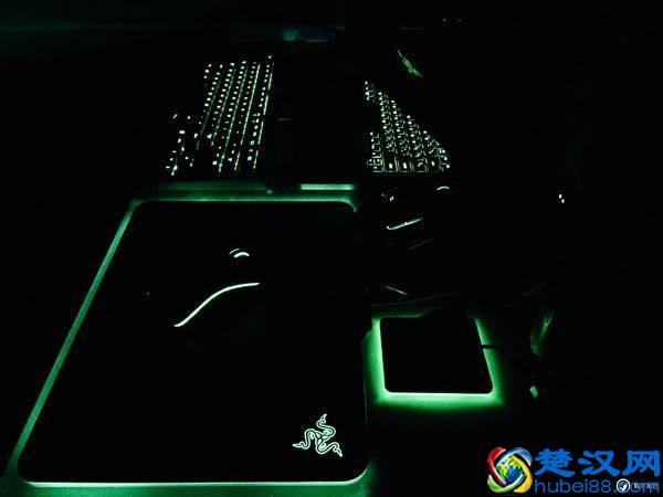 雷蛇退烧粉有话说：曼巴眼镜蛇精英版鼠标体验