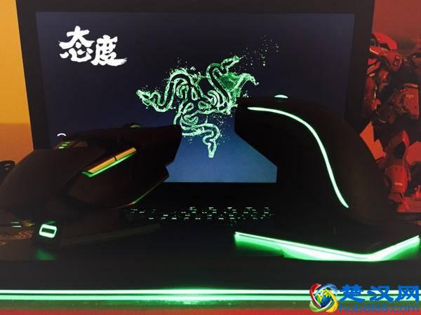 雷蛇退烧粉有话说：曼巴眼镜蛇精英版鼠标体验