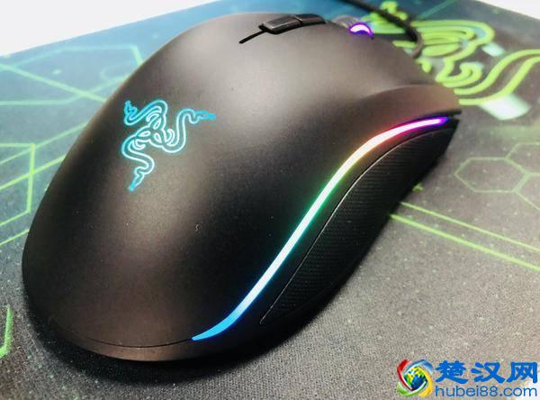 雷蛇退烧粉有话说：曼巴眼镜蛇精英版鼠标体验