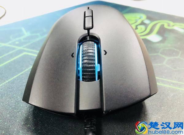 雷蛇退烧粉有话说：曼巴眼镜蛇精英版鼠标体验