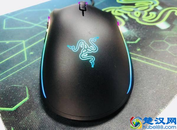 雷蛇退烧粉有话说：曼巴眼镜蛇精英版鼠标体验