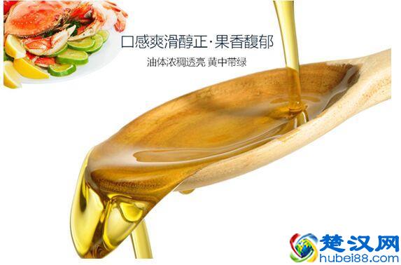 同样是橄榄油，价格居然相差那么大！榄蒂告诉你选购技巧