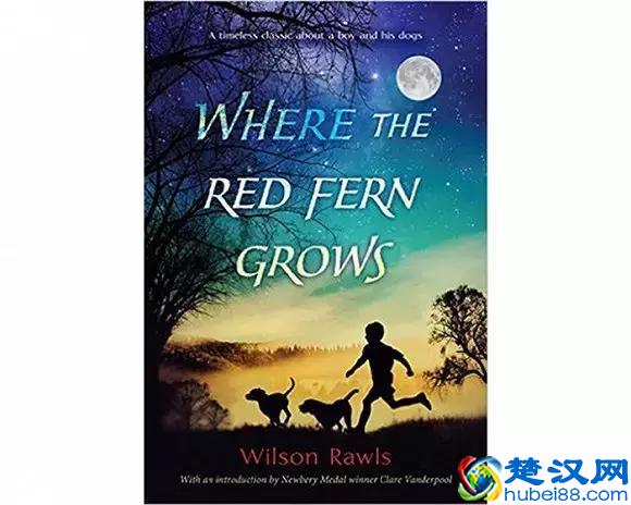 推荐丨20本历经时间考验的经典儿童读物