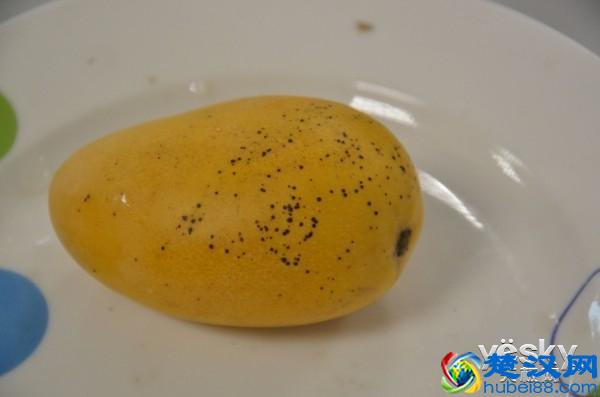 博世对开门冰箱评测 还原新鲜生活本色