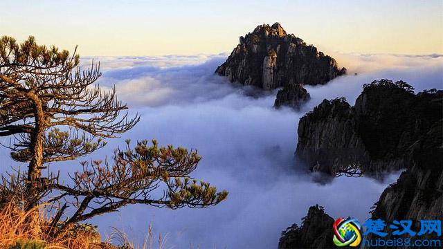 黄山四绝之一的云海 到底有哪些魅力让人称奇