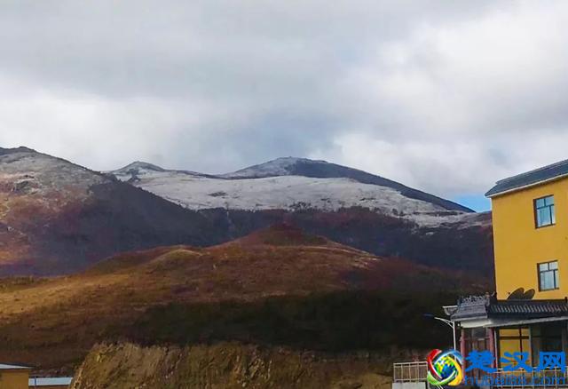 北京已经下雪了，明天继续寒冷，今天你冻傻了吗？