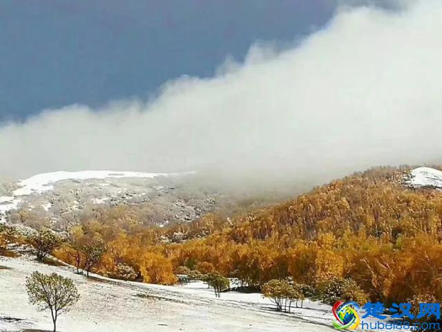 北京已经下雪了，明天继续寒冷，今天你冻傻了吗？