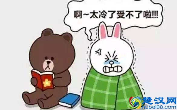 北京已经下雪了，明天继续寒冷，今天你冻傻了吗？