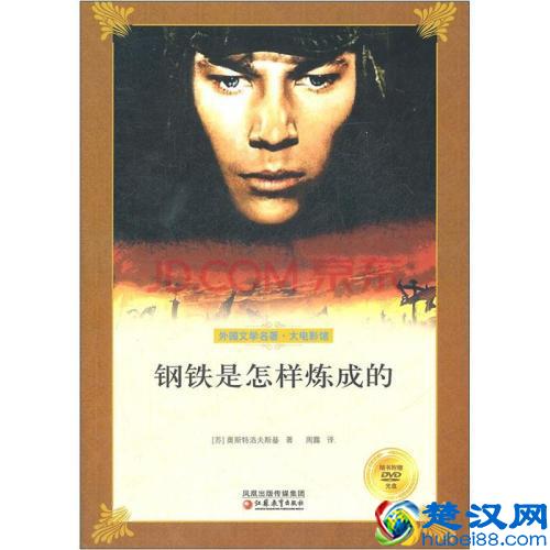 《钢铁是怎样炼成的》，小时候支撑我按时完成作业的坚强后盾