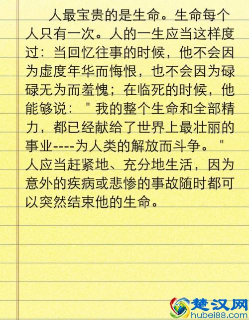 《钢铁是怎样炼成的》，小时候支撑我按时完成作业的坚强后盾