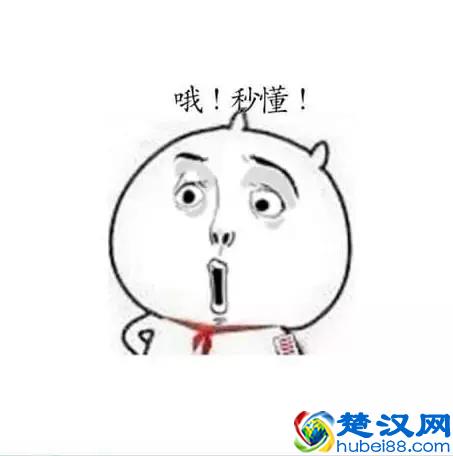 汽车保险怎么买划算？精明的车主都这样选择