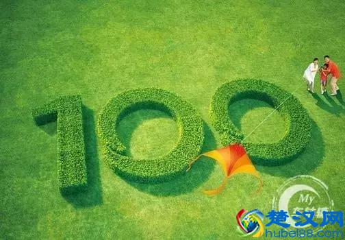 汽车保险怎么买划算？精明的车主都这样选择