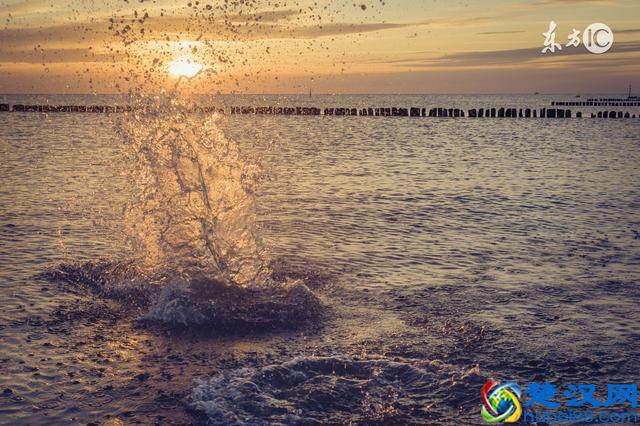 与孤独共处？送你五本孤独时候最适合读的书