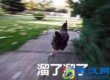 微信抢红包，一个月居然抢到12万！芜湖这个群主靠的是什么“神技”……