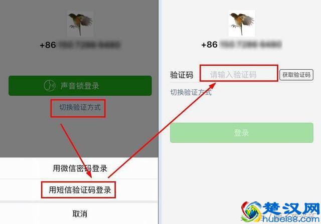 微信支付宝忘记密码怎么办？不怕不怕，还可以这样登录