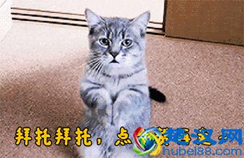 微信支付宝忘记密码怎么办？不怕不怕，还可以这样登录