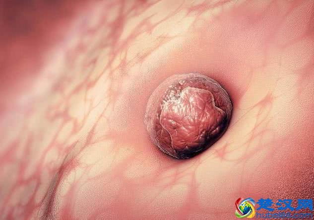 想知道自己是否怀孕了？这3个怀孕信号，不妨对照自查一下！