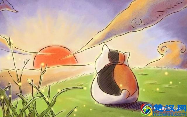 这是当今世上能活得最好的星座