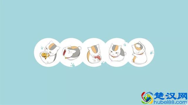 这是当今世上能活得最好的星座