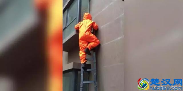 怎么捅马蜂窝？太原消防员给你示范，4天连除21处