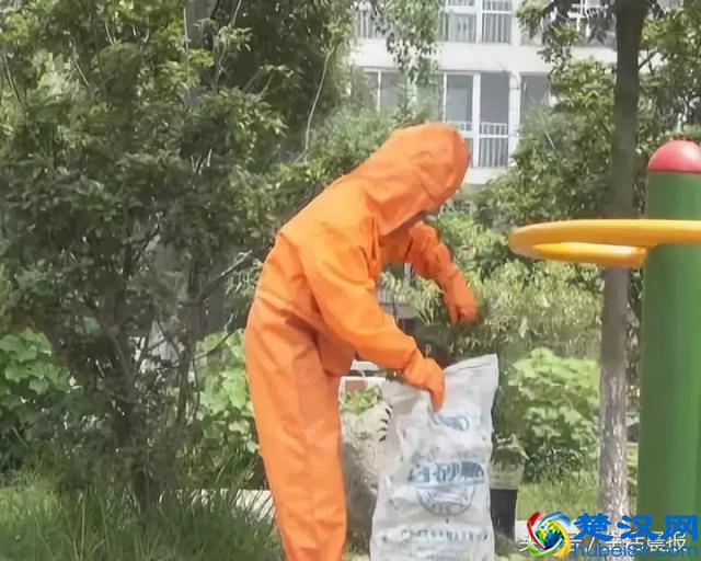 怎么捅马蜂窝？太原消防员给你示范，4天连除21处