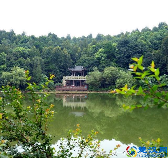 长沙市区旅游一定要去的12个地方，大部分都是免费的，能玩好几天