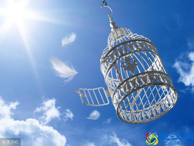 保释是什么？保释金会退还吗？