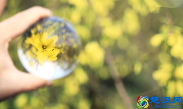 88年生的属龙人，未来事业婚姻如何？