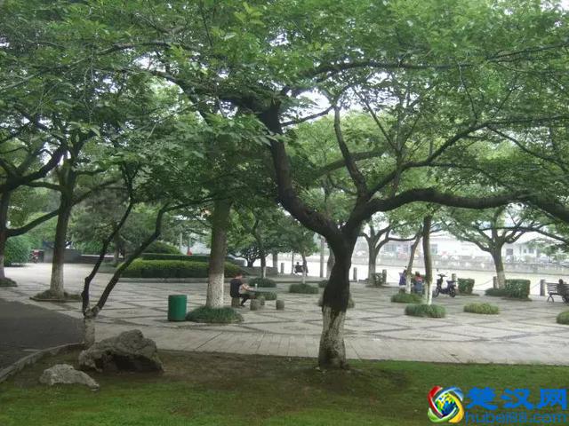 太全了！宁波最适合一日游的免费景点，够你任性玩一年！