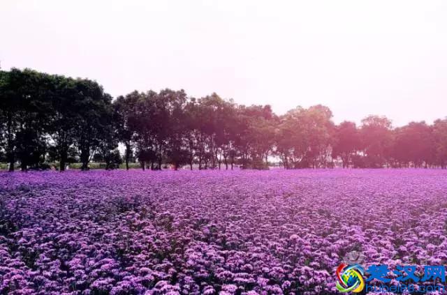 太全了！宁波最适合一日游的免费景点，够你任性玩一年！