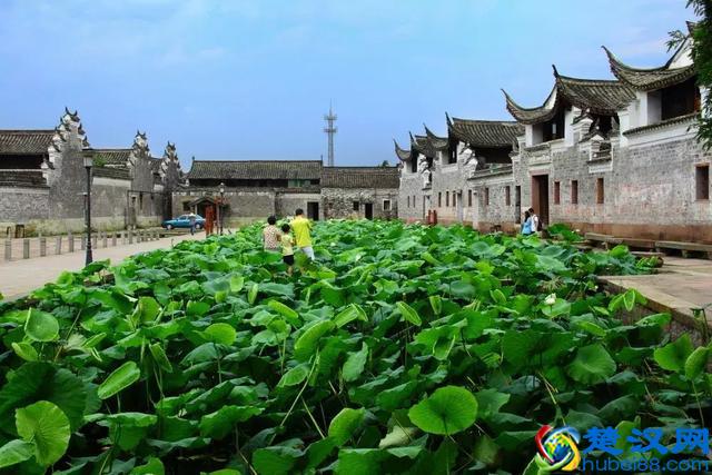 太全了！宁波最适合一日游的免费景点，够你任性玩一年！