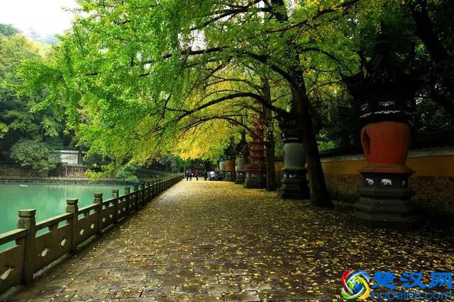 太全了！宁波最适合一日游的免费景点，够你任性玩一年！