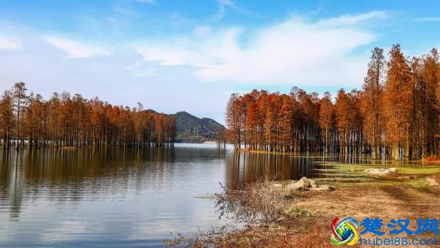 太全了！宁波最适合一日游的免费景点，够你任性玩一年！