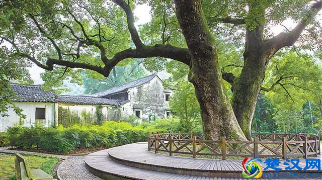 太全了！宁波最适合一日游的免费景点，够你任性玩一年！