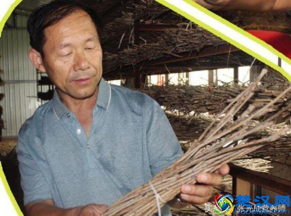 知了猴营养价值高可入药，但这四种人千万不能吃！