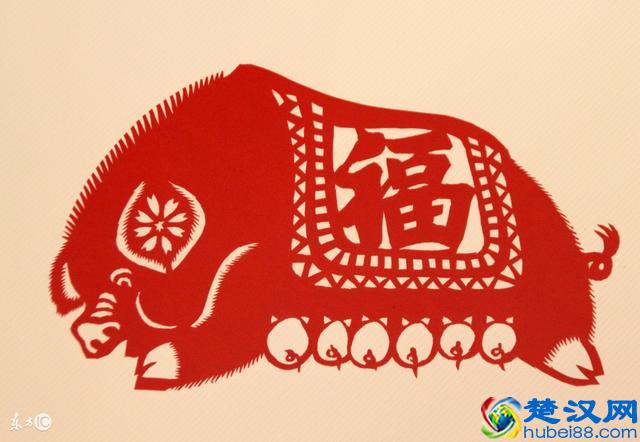 1995年生肖猪人在2018年综合运势